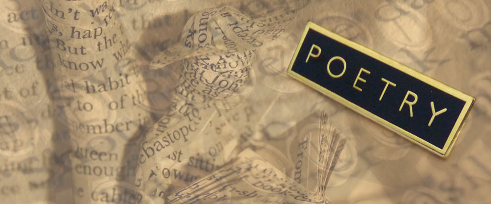 Enamel badges made for North East Times.